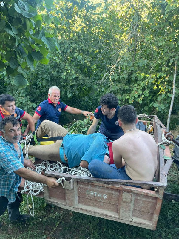 Her şey fındık toplarken oldu! Hayatının kabusunu yaşadı - 4. Resim