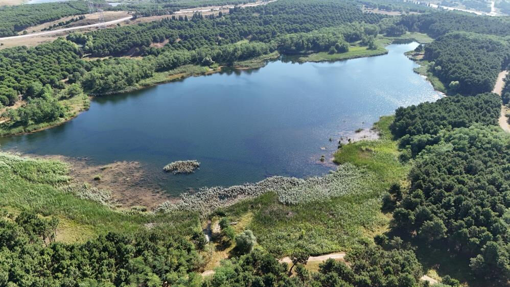 İBB'den skandal karar! Doğal g&ouml;l "hafriyat d&ouml;k&uuml;m alanı" ilan edildi - 3. Resim