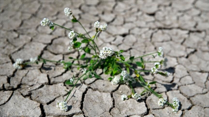 İklim Kanunu tüm maddeleri: İklim kanunu nedir, kabul eden ülkeler hangileri? - 3. Resim