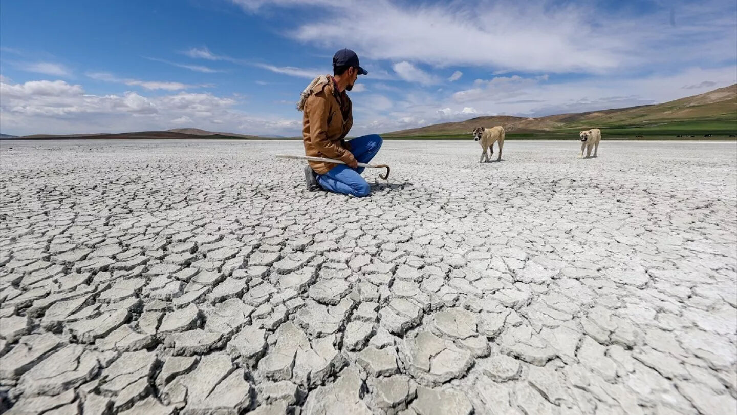 İklim Kanunu tüm maddeleri: İklim kanunu nedir, kabul eden ülkeler hangileri? - 6. Resim