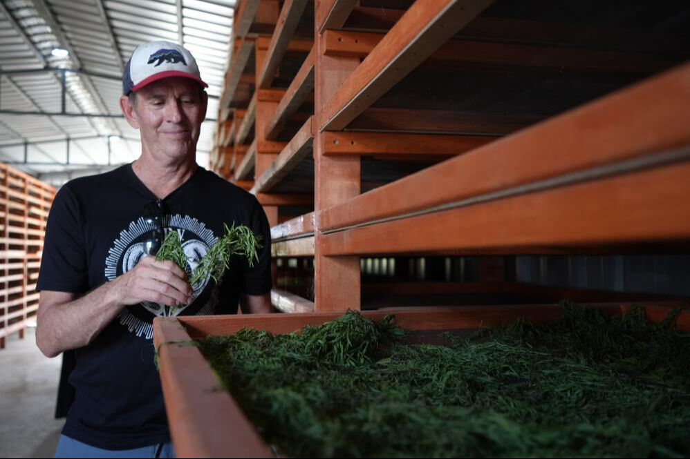 Kilo ve ton sınırı yok! Hepsini Bayburt'tan Amerika'ya götürecekler - 1. Resim