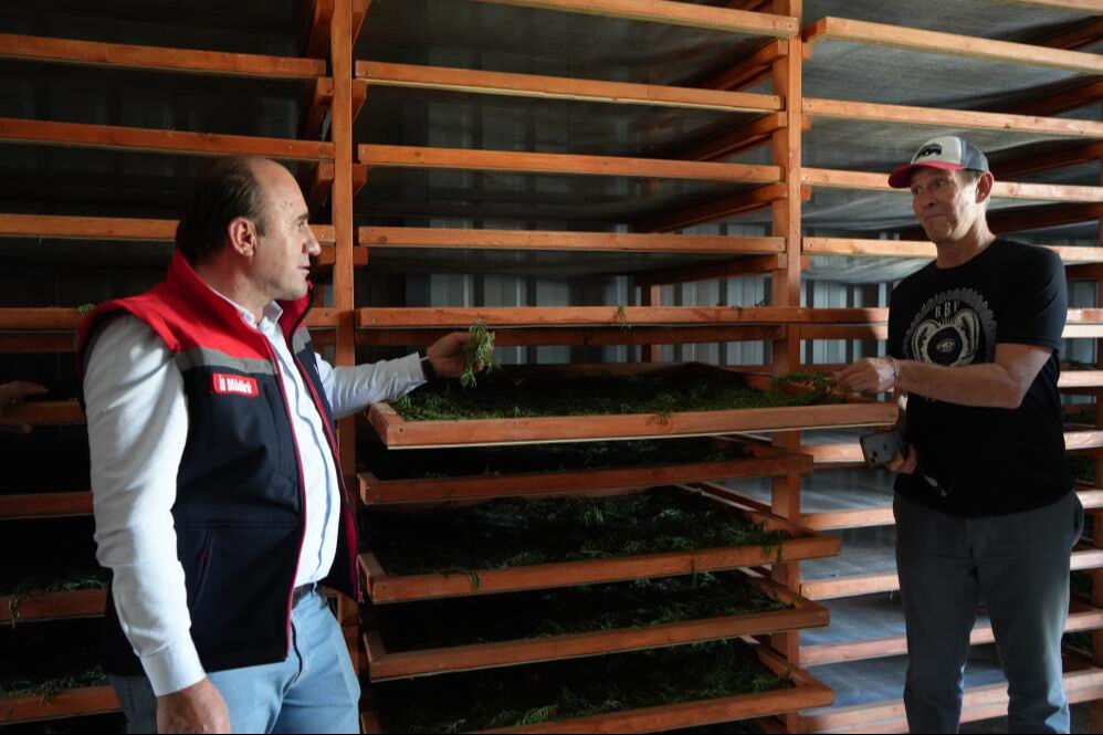 Kilo ve ton sınırı yok! Hepsini Bayburt'tan Amerika'ya götürecekler - 3. Resim