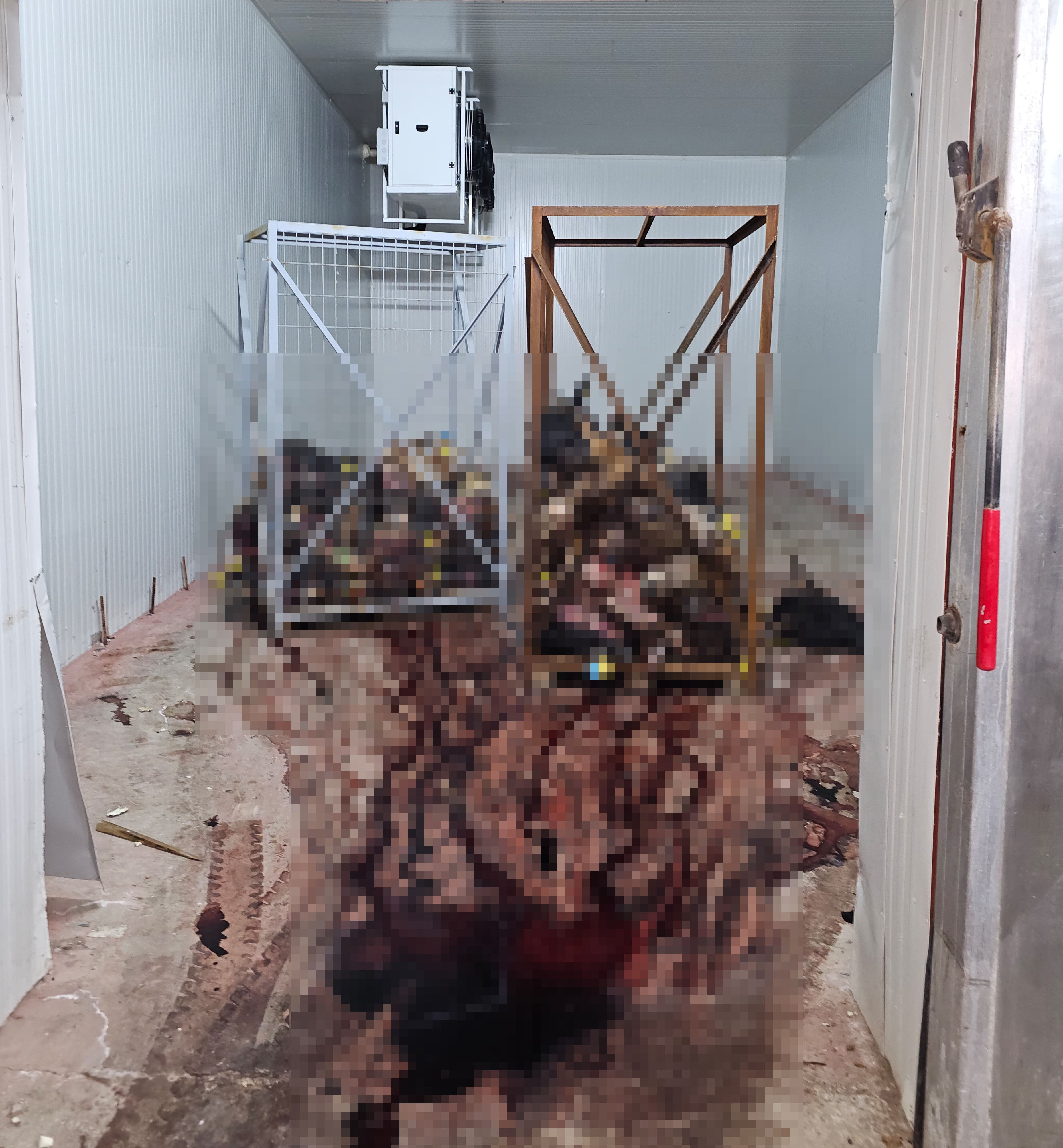 Mide bulandıran görüntüler! Bir gıda skandalı daha... Kelle paça sevenler şoke olacak Mide bulandıran görüntüler, bir gıda skandalı daha! Kelle paça sevenler şoke olacak! - 1. Resim