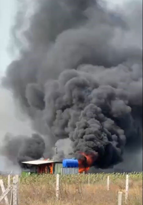 Silivri'de otluk alanda yangın! Bir itfaiye eri hastaneye kaldırıldı - 2. Resim