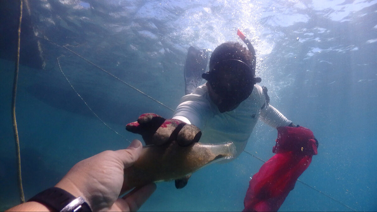 Temizlik devam ediyor! En popüler tatil beldesinin dibinden pislik çıktı - 3. Resim