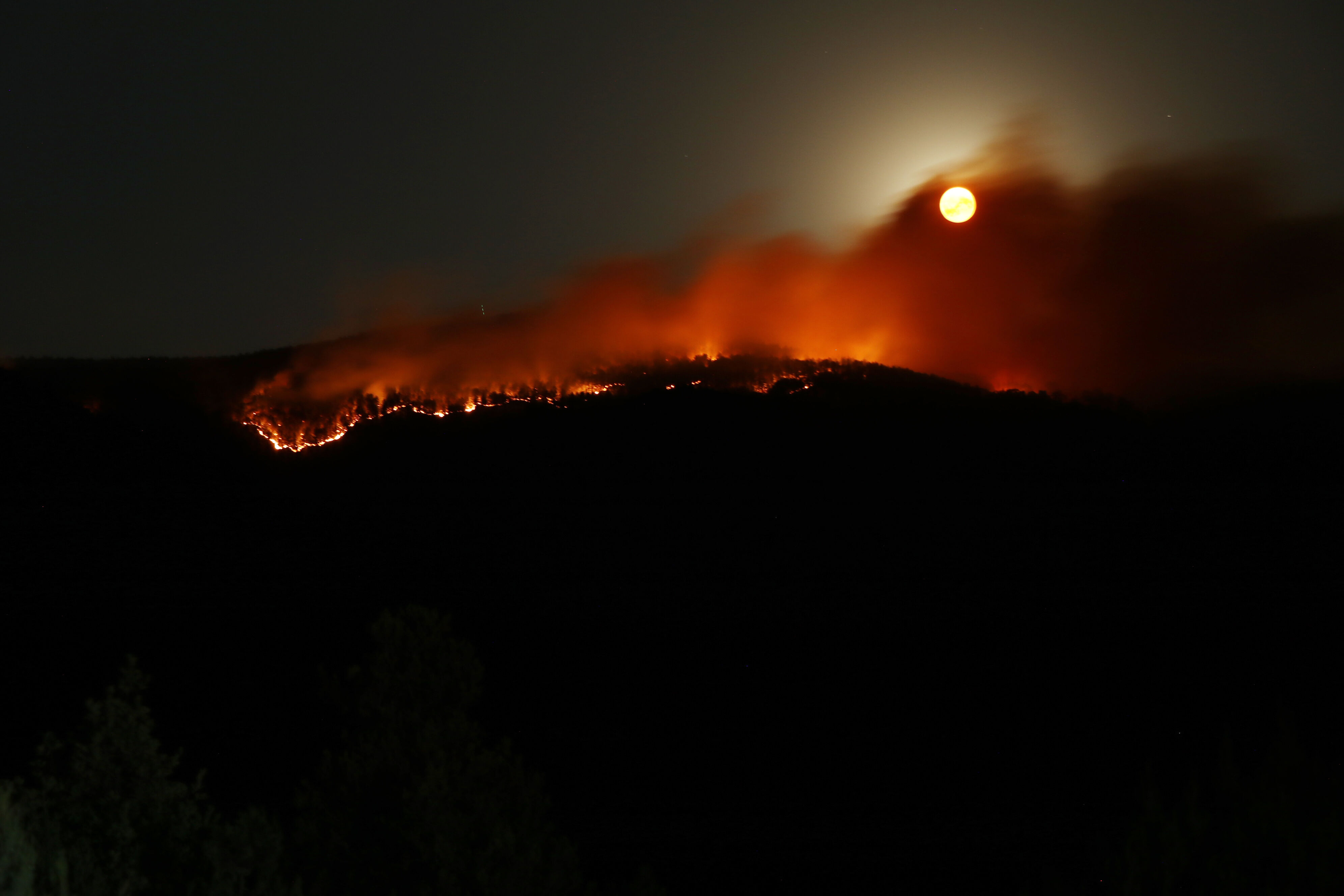 4 gün önce yanan ormanlık alanda yeniden yangın çıktı - 1. Resim