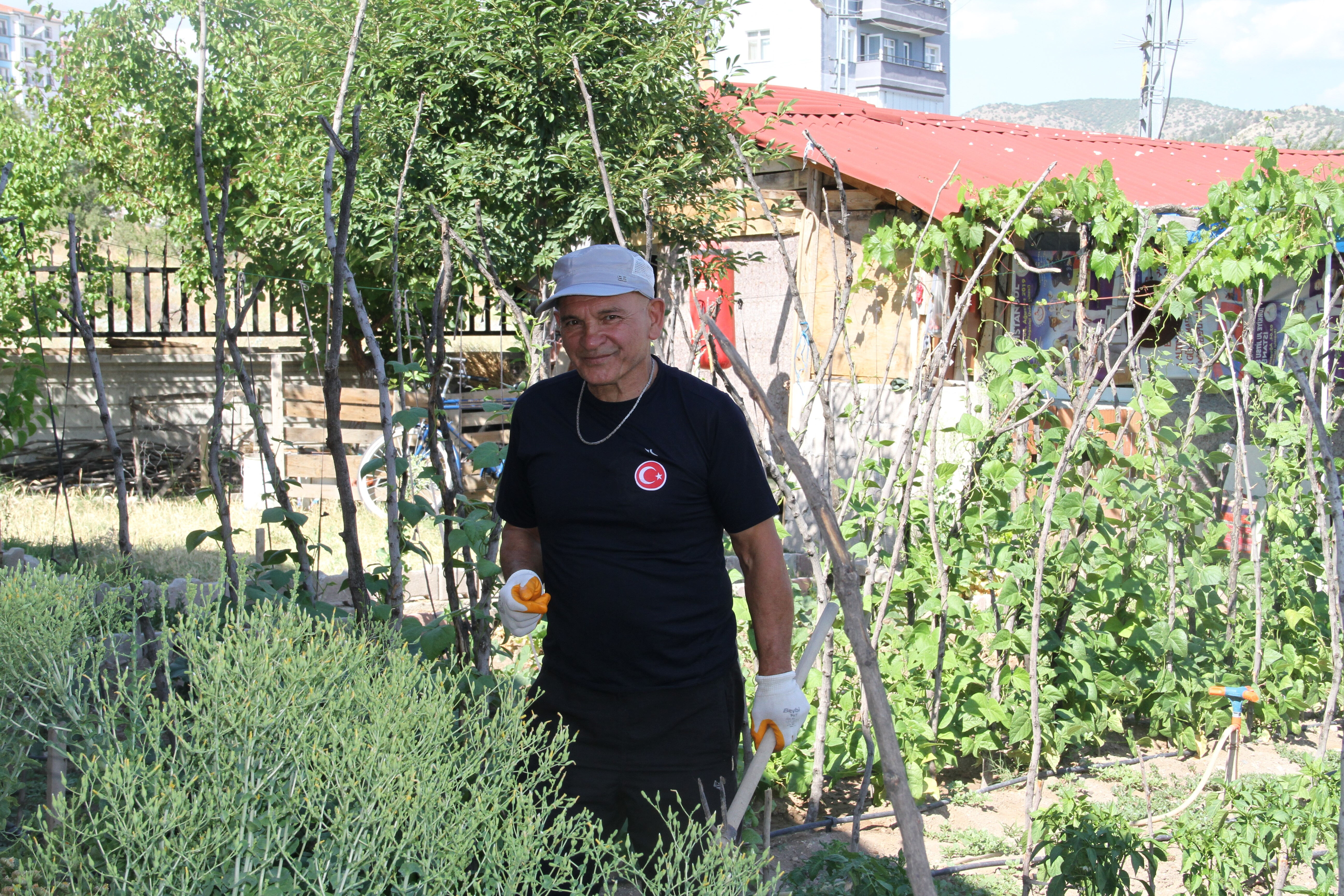 70 yaşında şehir hayatını bıraktı, çocukluk hayalini gerçekleştirdi! Şimdi herkes onu konuşuyor... - 3. Resim