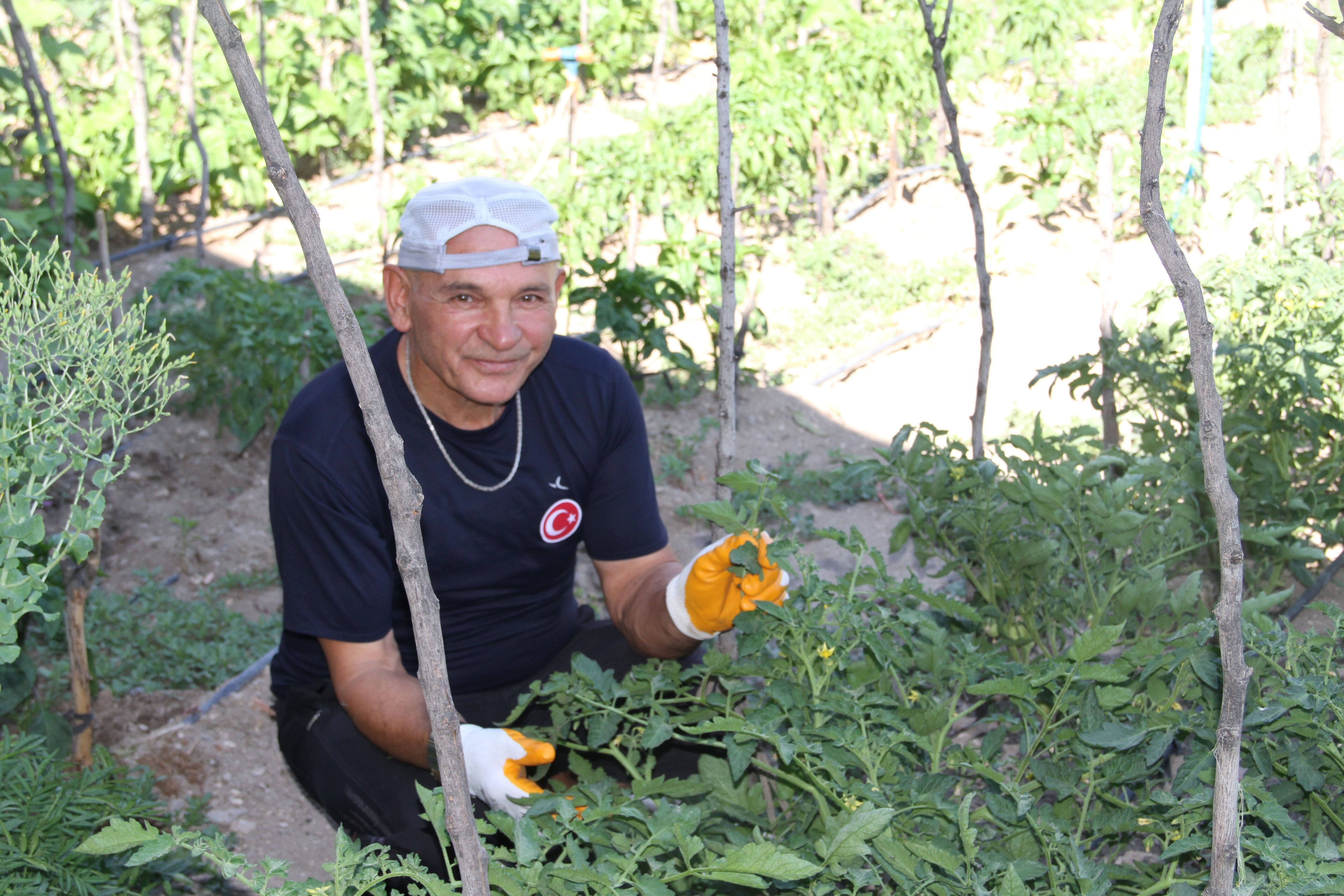 70 yaşında şehir hayatını bıraktı, çocukluk hayalini gerçekleştirdi! Şimdi herkes onu konuşuyor... - 2. Resim