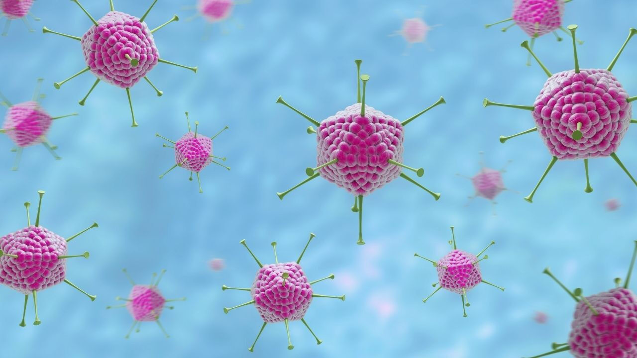 Adenovirüs nedir, nasıl bulaşır? Belirtilerine dikkat ediliyor - 2. Resim