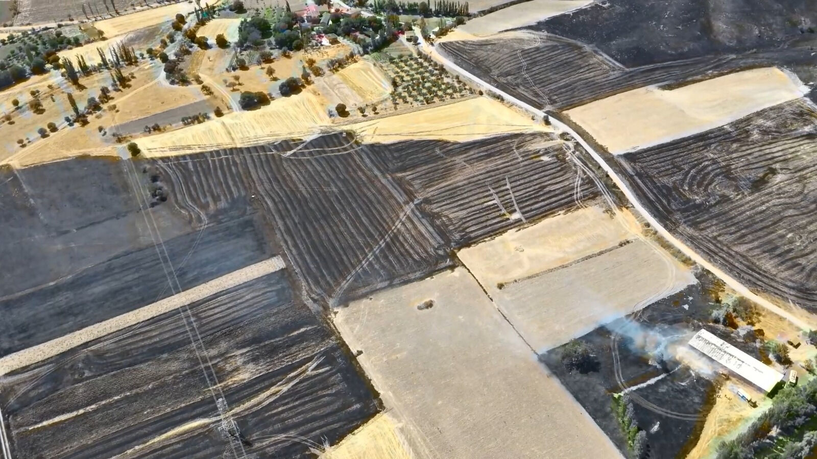 Amasya'da yüzlerce dönümlük tarım arazisi kül oldu! - 1. Resim