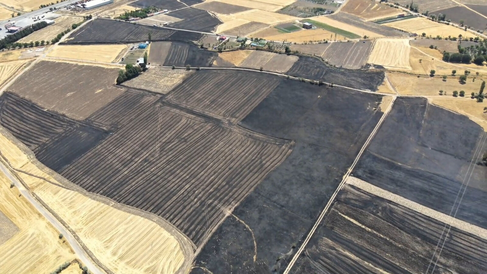 Amasya'da yüzlerce dönümlük tarım arazisi kül oldu! - 2. Resim