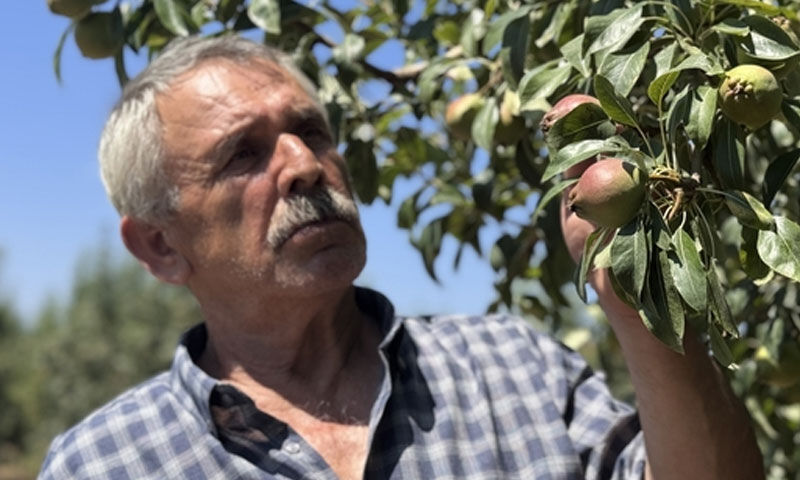 Emekli olduktan sonra başladı! Bu yıl 80 ton hasat bekliyor, paraya para demeyecek - 1. Resim