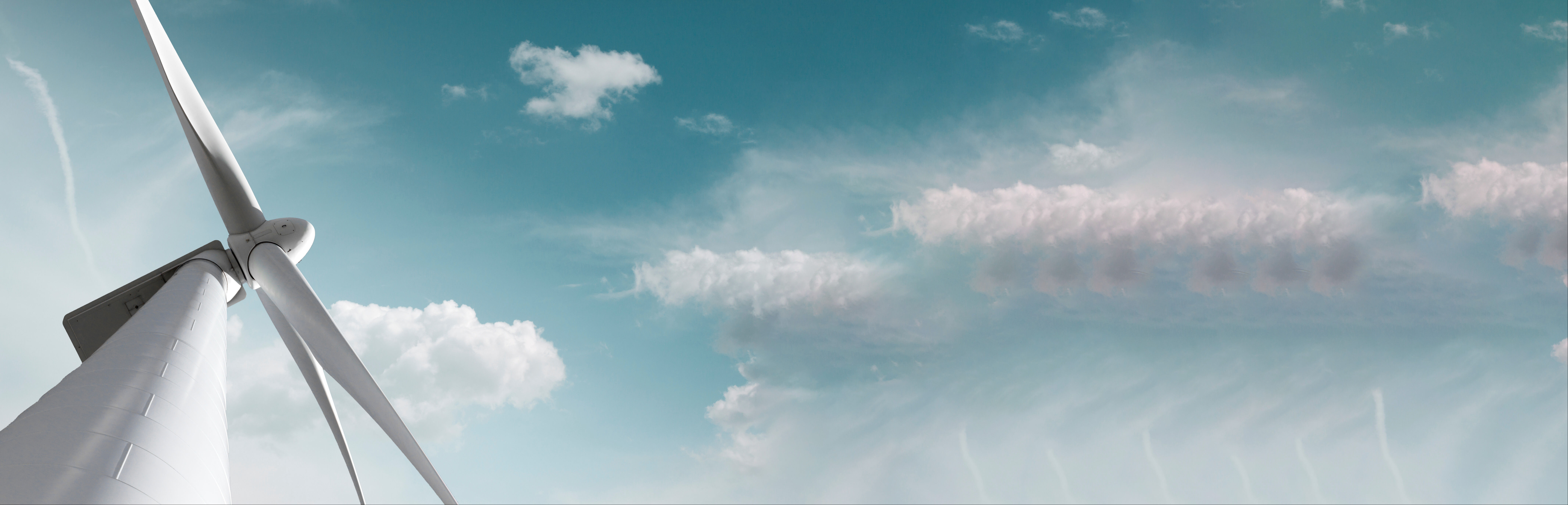 Giresun'da fındık İzmir'de rüzgâr... Yerli üreticilere büyük fırsat! Teşvikte yol haritası çıkarıldı - 2. Resim