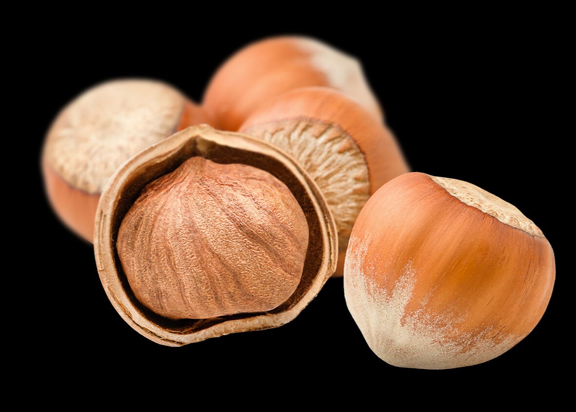 Giresun'da fındık İzmir'de rüzgâr... Yerli üreticilere büyük fırsat! Teşvikte yol haritası çıkarıldı - 1. Resim