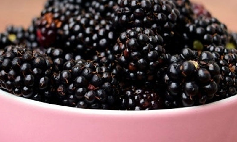 Kanserden koruyor, tümör hücrelerinin kökünü kazıyor… Şimdi tam zamanı! Bol bol yiyin - 2. Resim