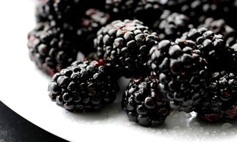 Kanserden koruyor, tümör hücrelerinin kökünü kazıyor… Şimdi tam zamanı! Bol bol yiyin - 1. Resim