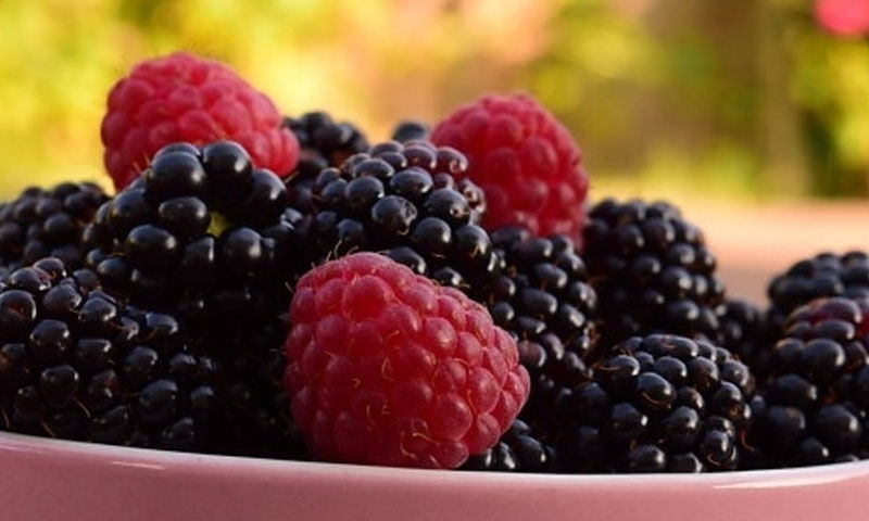 Kanserden koruyor, tümör hücrelerinin kökünü kazıyor… Şimdi tam zamanı! Bol bol yiyin - 3. Resim