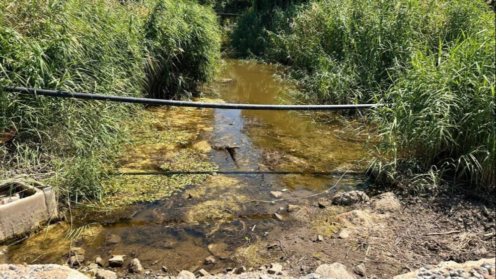 Korkutan görüntüler! Su tamamen bitti: Her taraf pislik ve çöp içinde - 3. Resim