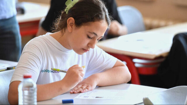 LGS sonuçları saat kaçta açıklanacak? 2025 LGS sonuç sorgulama ekranı - 3. Resim