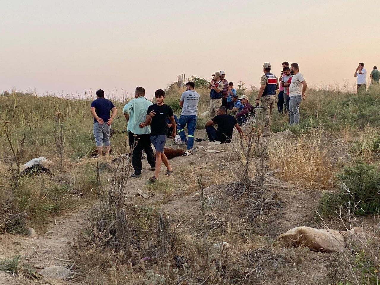 Ölüm saçan dere! 1 haftada 100'den fazla hayvan telef oldu! Nedeni korkunç... - 3. Resim