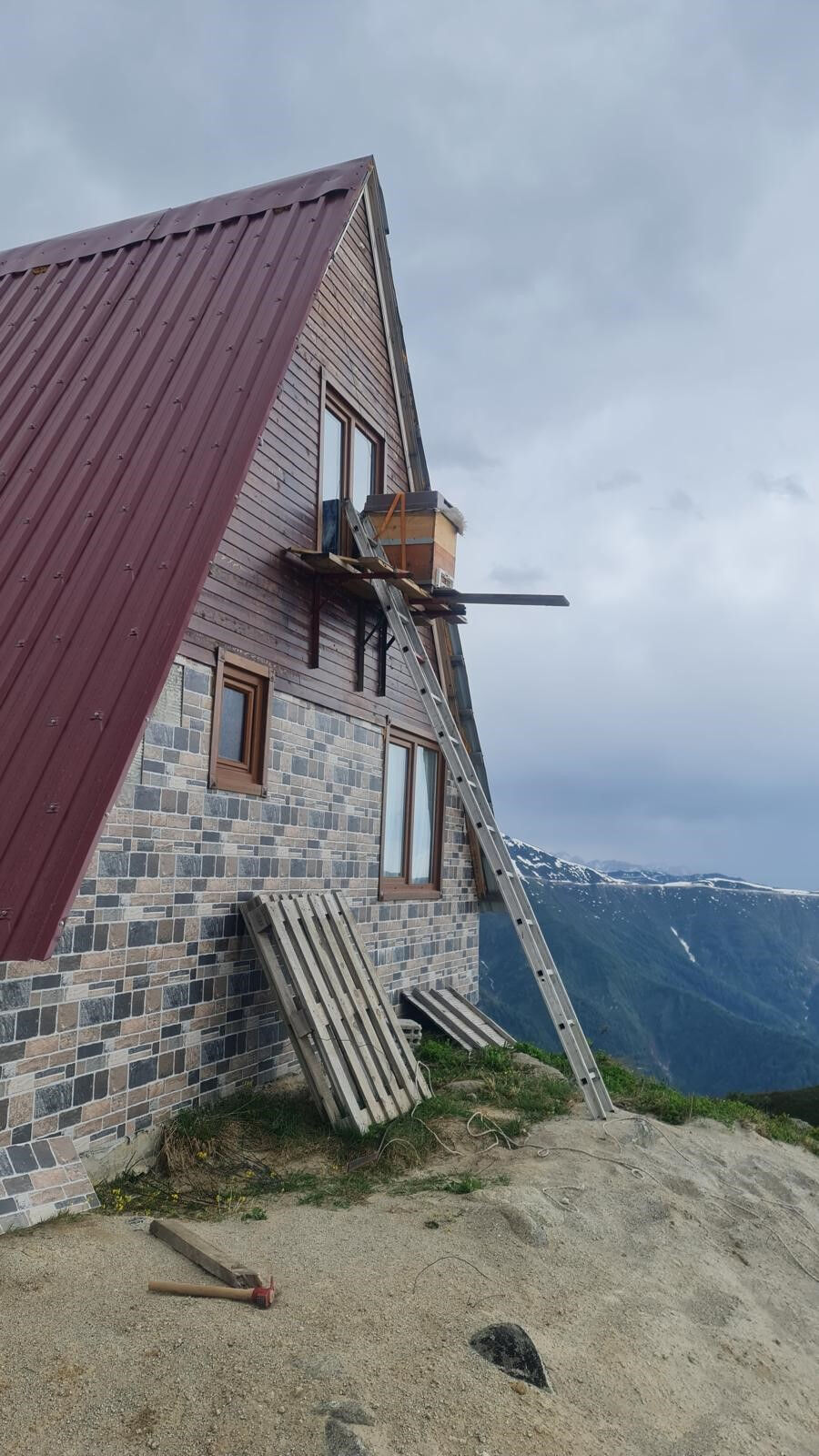 Rizeli arıcıdan zeki hamle: ayılardan korumak için kovanları bakın nereye taşıdı - 1. Resim