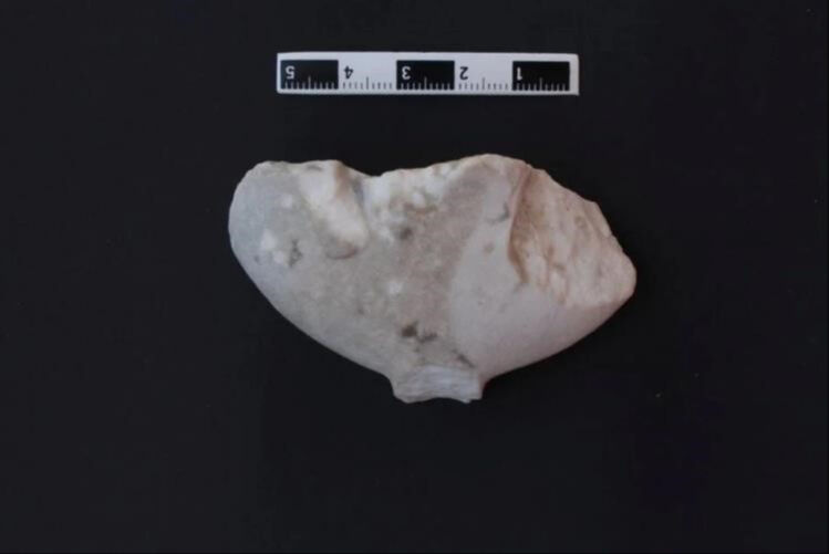 Tarihi değiştirebilecek figür! Mağara 16 bin 500 yıl önceye götürdü, Göbeklitepe'den daha eski - 4. Resim