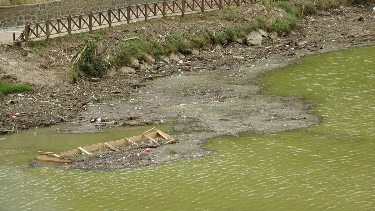 Tedbirler işe yaramadı, şehir tehlike altında! Ünlü göl bataklığa dönüşmek üzere... Uzman isim çözüm yolunu anlattı - 6. Resim