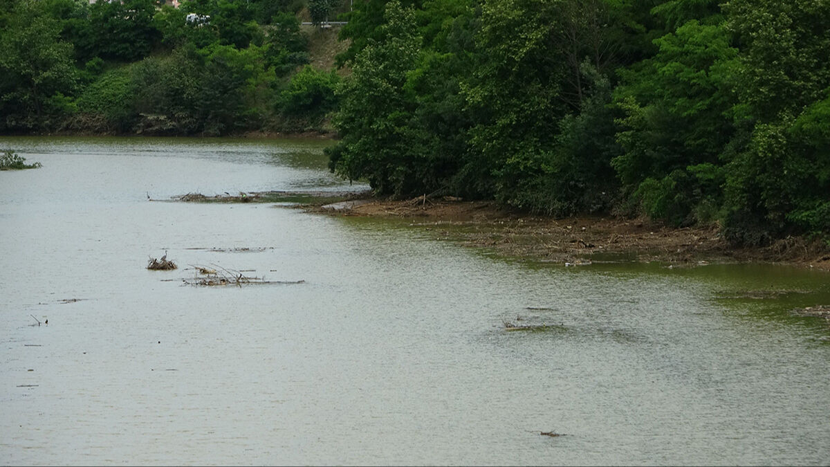 Tedbirler işe yaramadı, şehir tehlike altında! Ünlü göl bataklığa dönüşmek üzere... Uzman isim çözüm yolunu anlattı - 7. Resim
