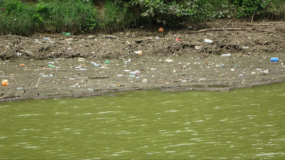 Tedbirler işe yaramadı, şehir tehlike altında! Ünlü göl bataklığa dönüşmek üzere... Uzman isim çözüm yolunu anlattı - 5. Resim