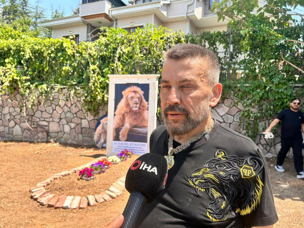 Türkiye'nin konuştuğu aslan için temsili mezar! Sahibi şiir bile yazdı: Nereye baksam Zeus'u görüyorum - 4. Resim