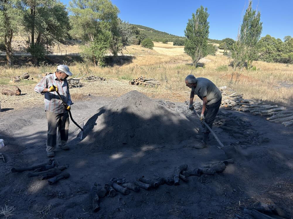 Yılın 5 ayı başında yatıp kalkıyorlar: Vatandaş keyfini sürüyor, biz zahmetini çekiyoruz - 2. Resim