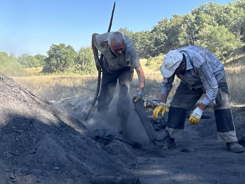 Yılın 5 ayı başında yatıp kalkıyorlar: Vatandaş keyfini sürüyor, biz zahmetini çekiyoruz - 3. Resim