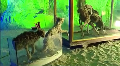 400 yıllık sır ortaya çıktı! Keloğlan'ın evi bakın nereden çıktı: O detay herkesi şaşırttı - 5. Resim