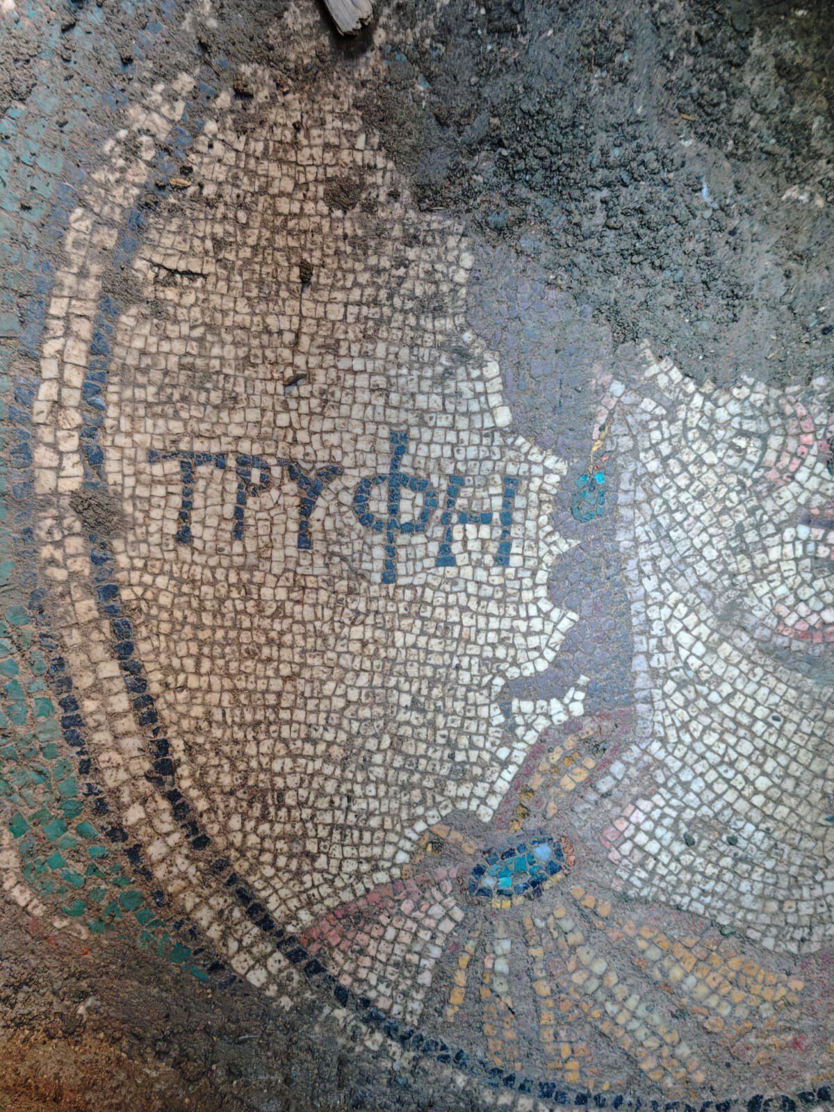 Bağ evindeki kazı derinleşti! Şehrin tarihini değiştirebilir - 2. Resim