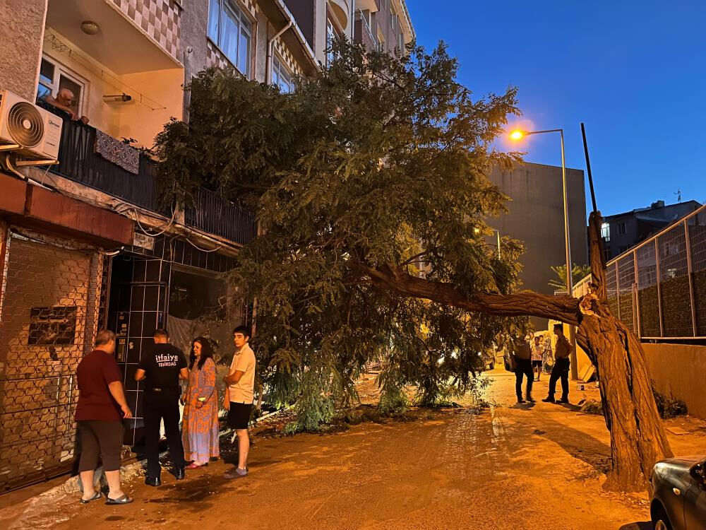 Balkonda kahve i&ccedil;en kadının &uuml;st&uuml;ne ağa&ccedil; d&uuml;şt&uuml;! - 1. Resim