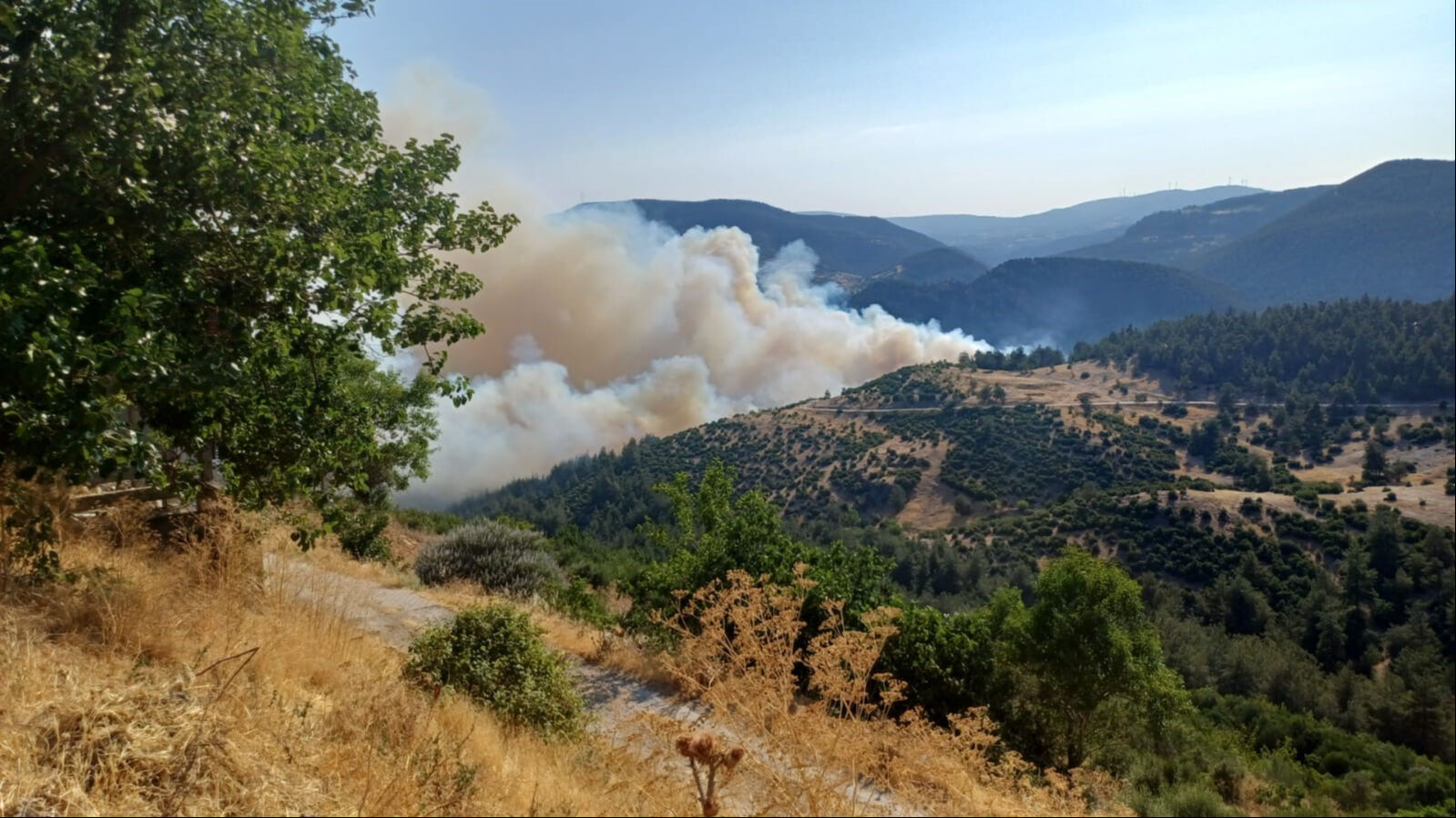 Bursa-Balıkesir sınırında korkutan yangın! Alevler giderek büyüyor, yerleşim yerleri tehdit altında - 1. Resim