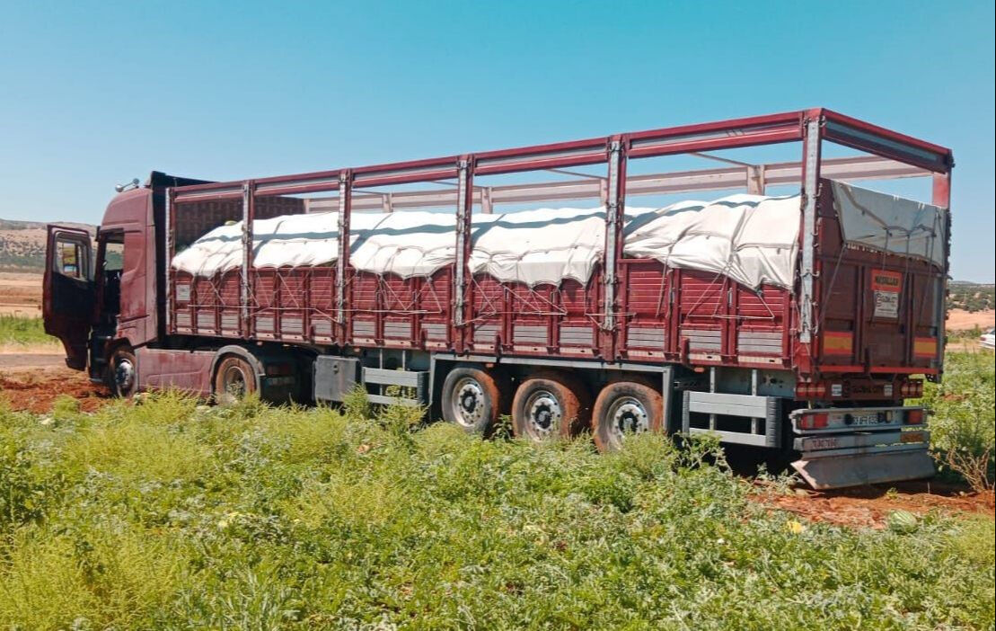 Karpuz tırı ilçeye girdi, meydan doldu taştı