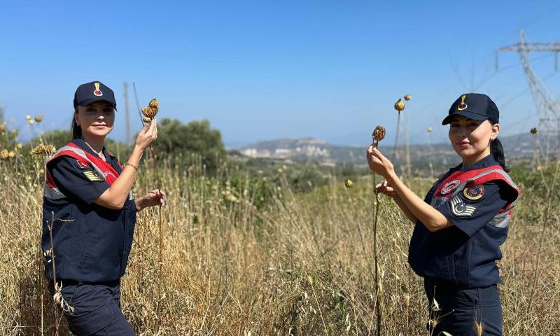 Koruma altında: Koparmanın cezası 557 bin lira! - 1. Resim