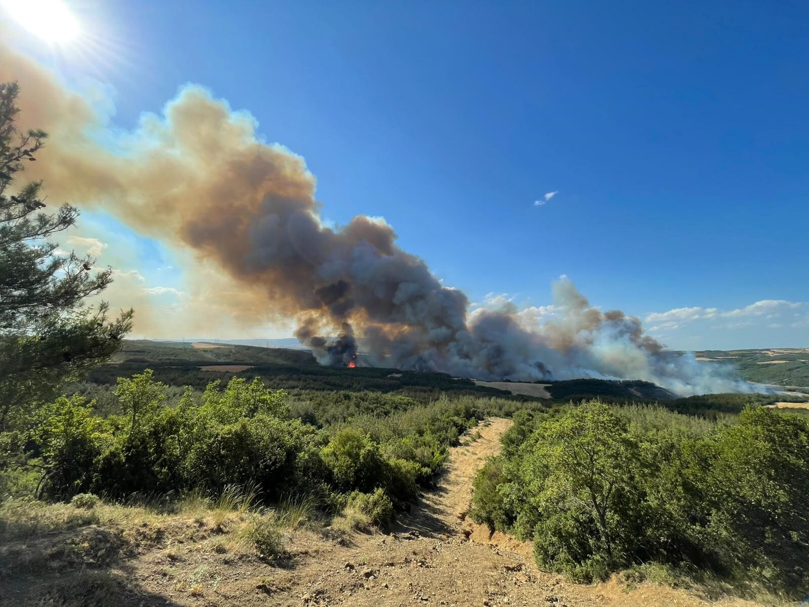 Tekirdağ'da orman yangını! Şarköy'de alevler yükseldi - 1. Resim