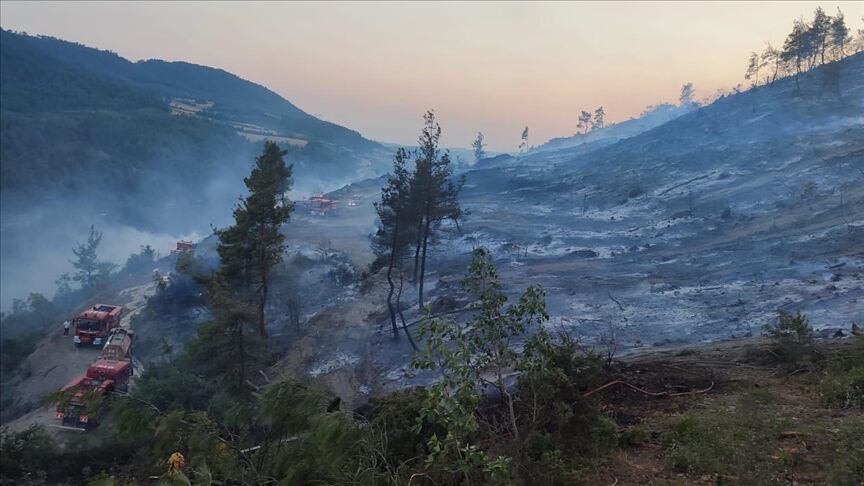 Üretici kahrolmuştu, mahsulleri yangınlarda küle döndü! Yetkililer harekete geçti, o ürünlerin hepsi satın alındı - 3. Resim