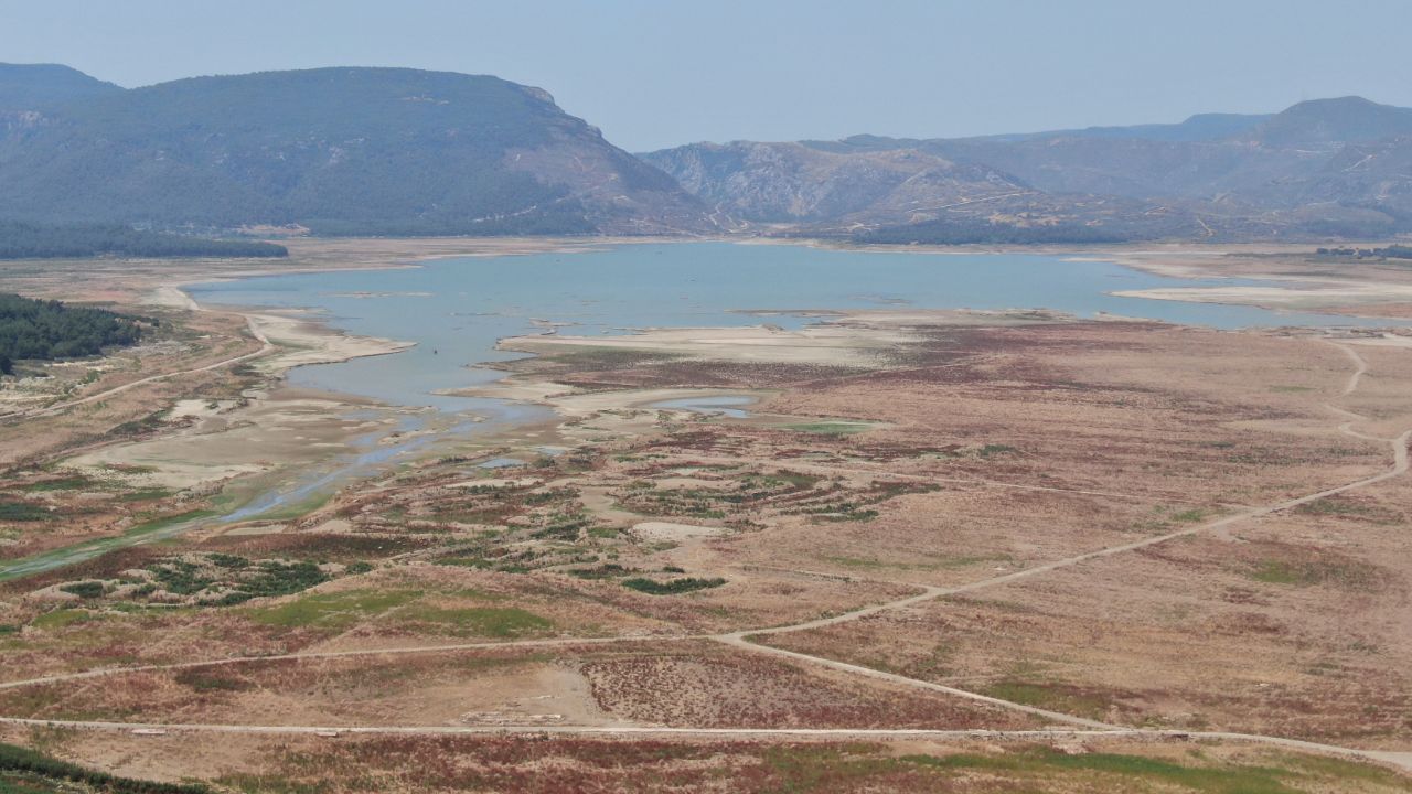 Yaşam