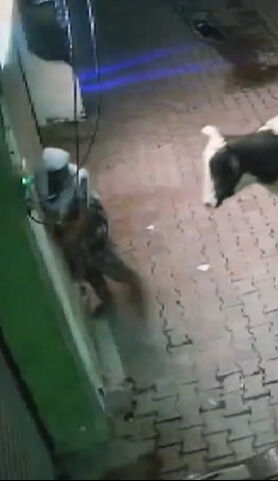 Yaşlı kadın evinin önünde kabusu yaşadı! Havaya fırlattı, üzerinden geçti: Dehşet anları kamerada - 2. Resim