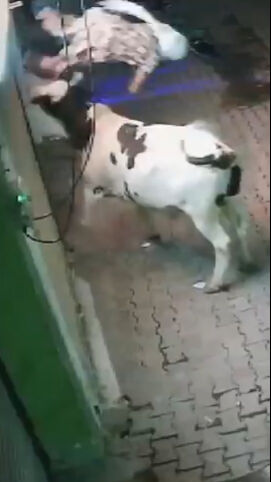 Yaşlı kadın evinin önünde kabusu yaşadı! Havaya fırlattı, üzerinden geçti: Dehşet anları kamerada - 1. Resim