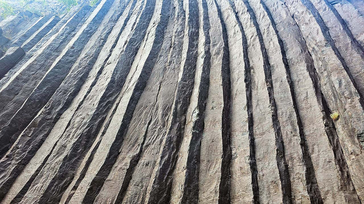 Akın akın gidiyorlar! En genci 10 milyon yaşında... Görenler telefona sarılıyor - 3. Resim