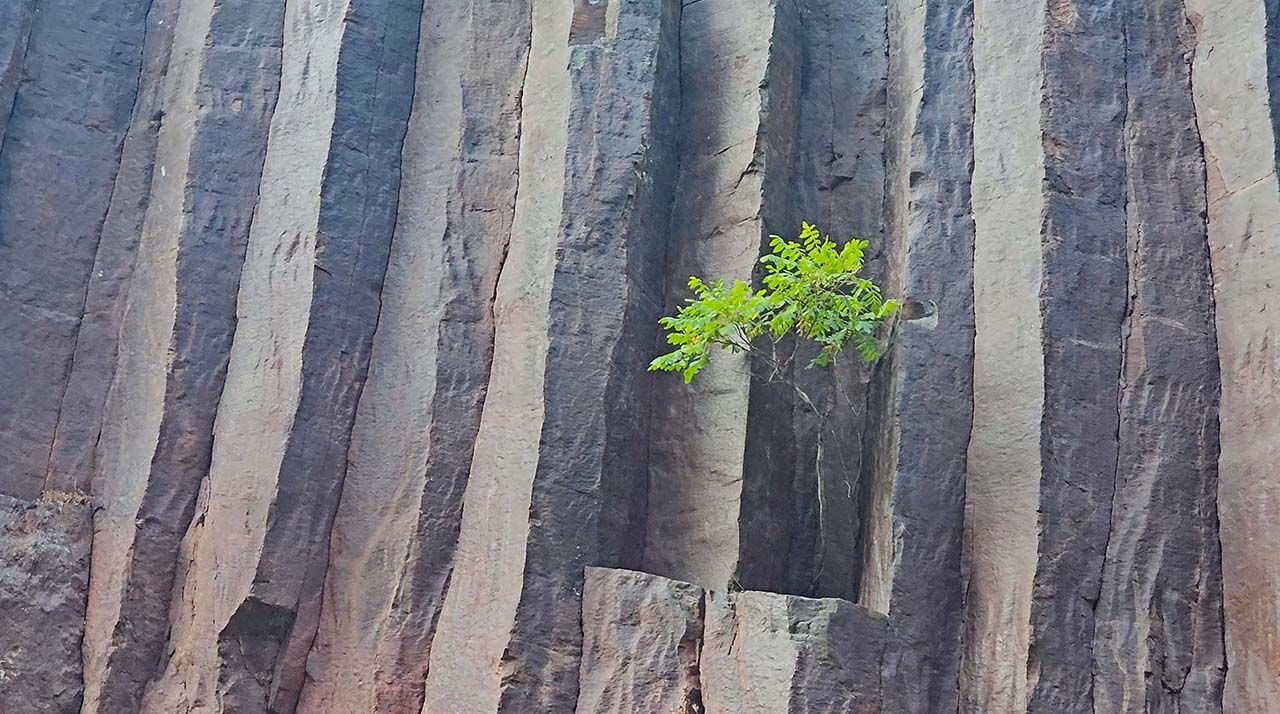 Akın akın gidiyorlar! En genci 10 milyon yaşında... Görenler telefona sarılıyor - 5. Resim