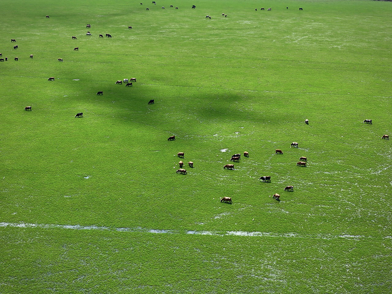 Gitmek için en doğru zaman! Dünyanın en güzel yerleri arasında...  Kuş Cenneti görenleri hayran bırakıyor Gitmek için en doğru zaman! Dünyanın en güzel yerleri arasında...  Kuş Cenneti görenleri hayran bırakıyor - 6. Resim