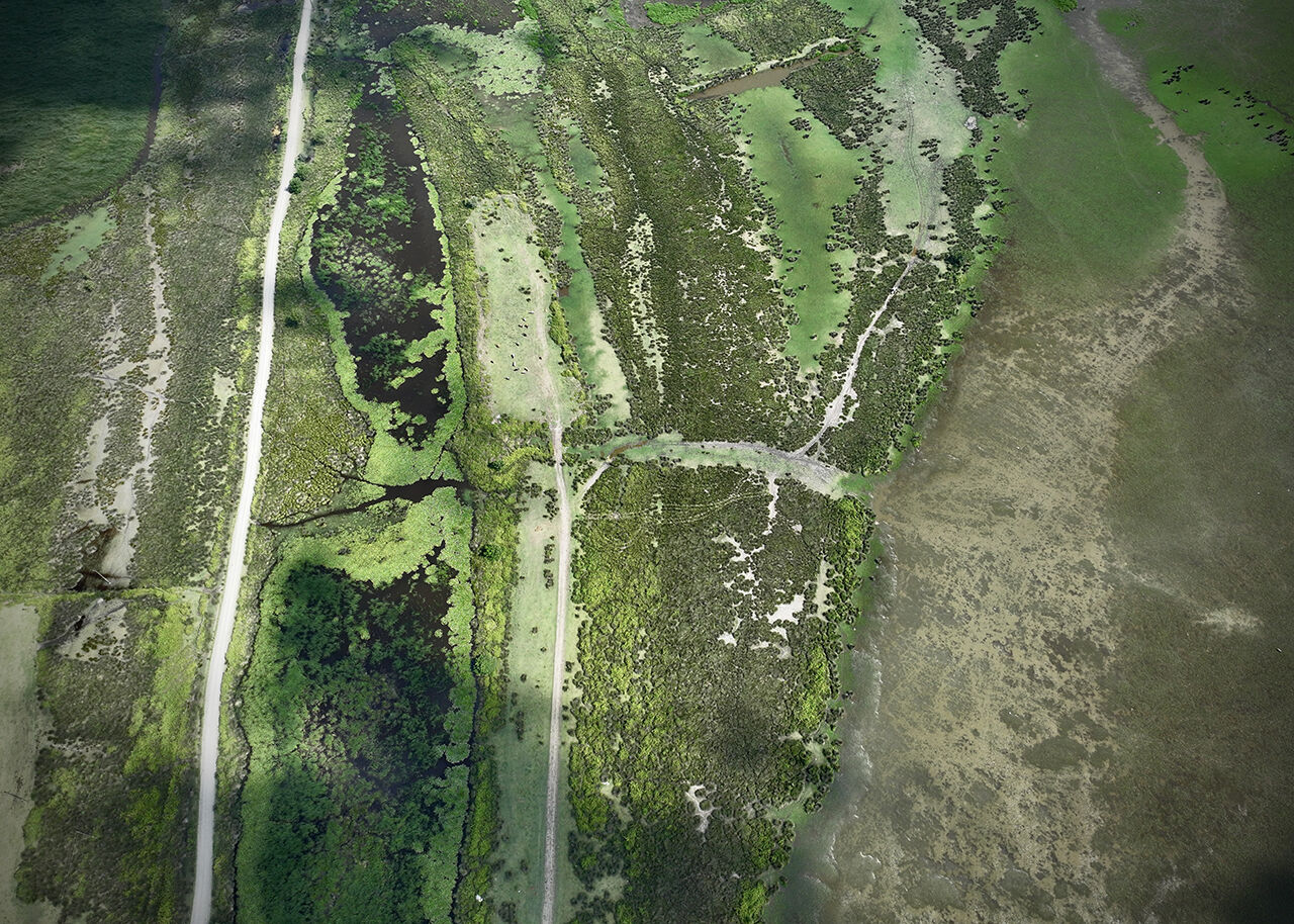 Gitmek için en doğru zaman! Dünyanın en güzel yerleri arasında...  Kuş Cenneti görenleri hayran bırakıyor Gitmek için en doğru zaman! Dünyanın en güzel yerleri arasında...  Kuş Cenneti görenleri hayran bırakıyor - 3. Resim