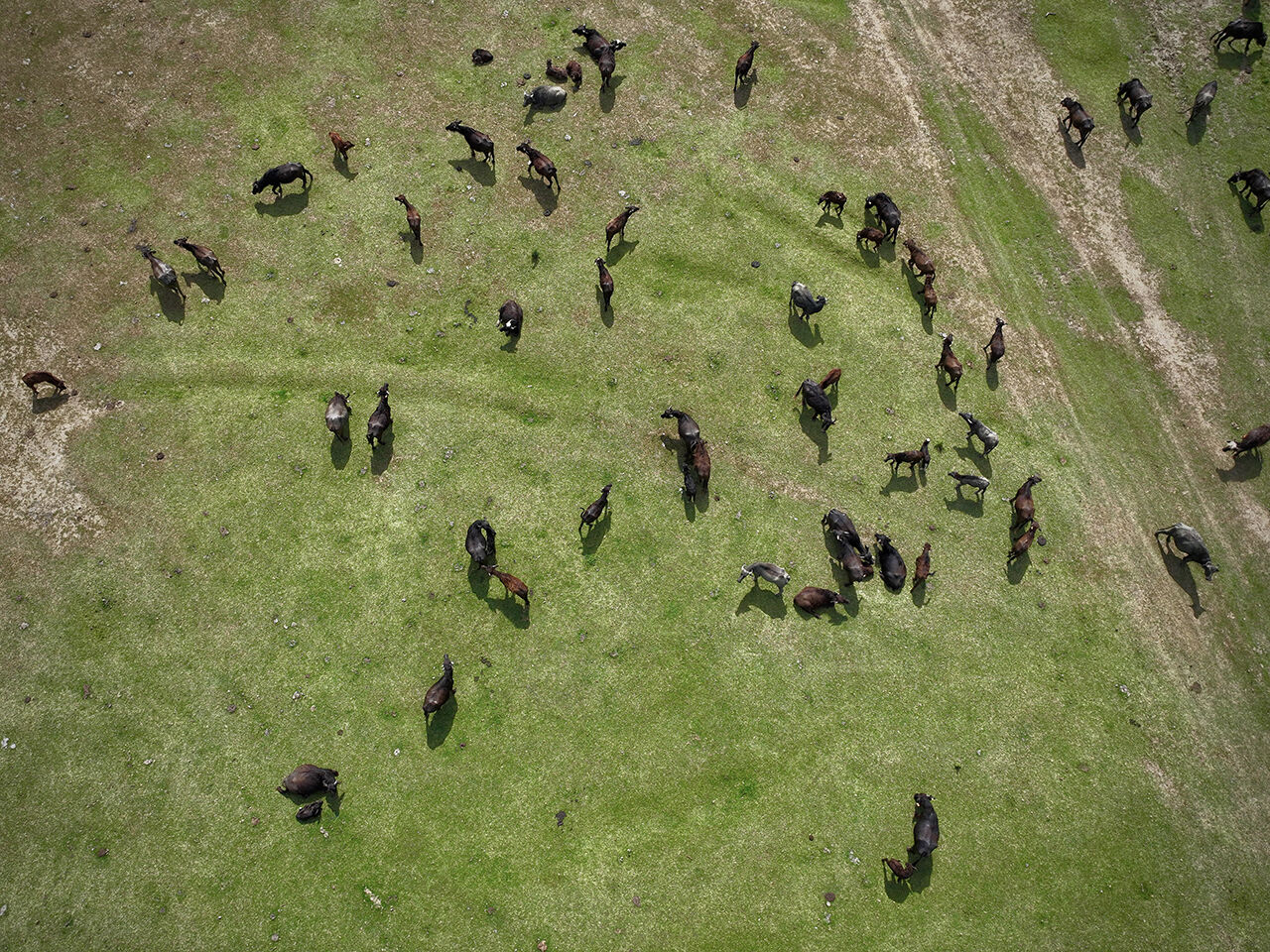 Gitmek için en doğru zaman! Dünyanın en güzel yerleri arasında...  Kuş Cenneti görenleri hayran bırakıyor Gitmek için en doğru zaman! Dünyanın en güzel yerleri arasında...  Kuş Cenneti görenleri hayran bırakıyor - 4. Resim