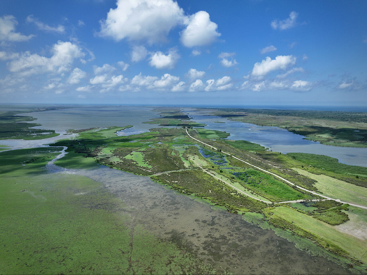 Gitmek için en doğru zaman! Dünyanın en güzel yerleri arasında...  Kuş Cenneti görenleri hayran bırakıyor Gitmek için en doğru zaman! Dünyanın en güzel yerleri arasında...  Kuş Cenneti görenleri hayran bırakıyor - 2. Resim