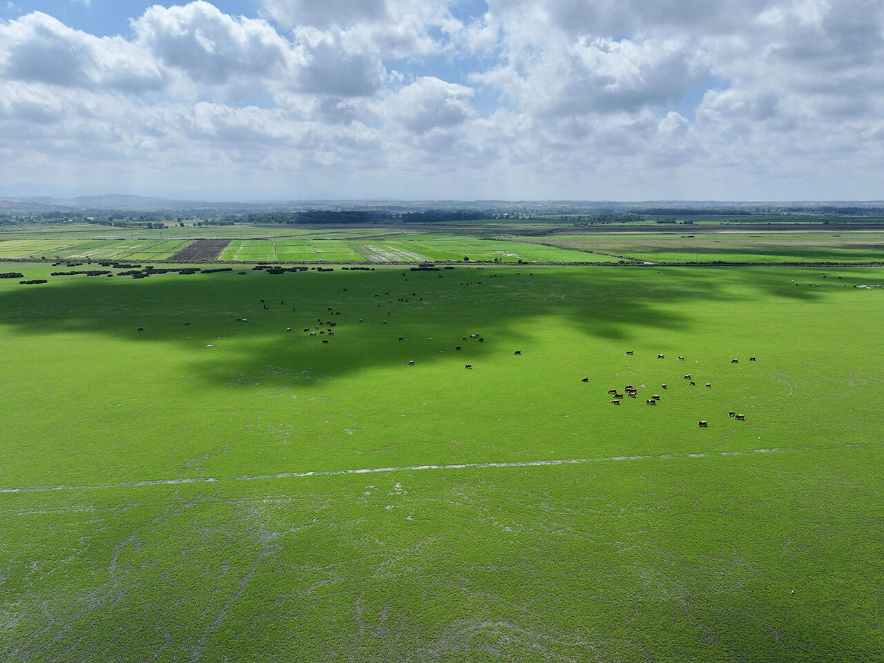 Gitmek için en doğru zaman! Dünyanın en güzel yerleri arasında...  Kuş Cenneti görenleri hayran bırakıyor Gitmek için en doğru zaman! Dünyanın en güzel yerleri arasında...  Kuş Cenneti görenleri hayran bırakıyor - 1. Resim